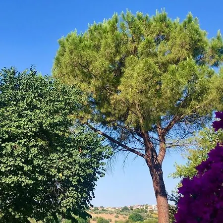 Fontebella